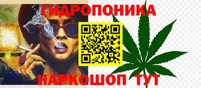 СК Краснознаменск