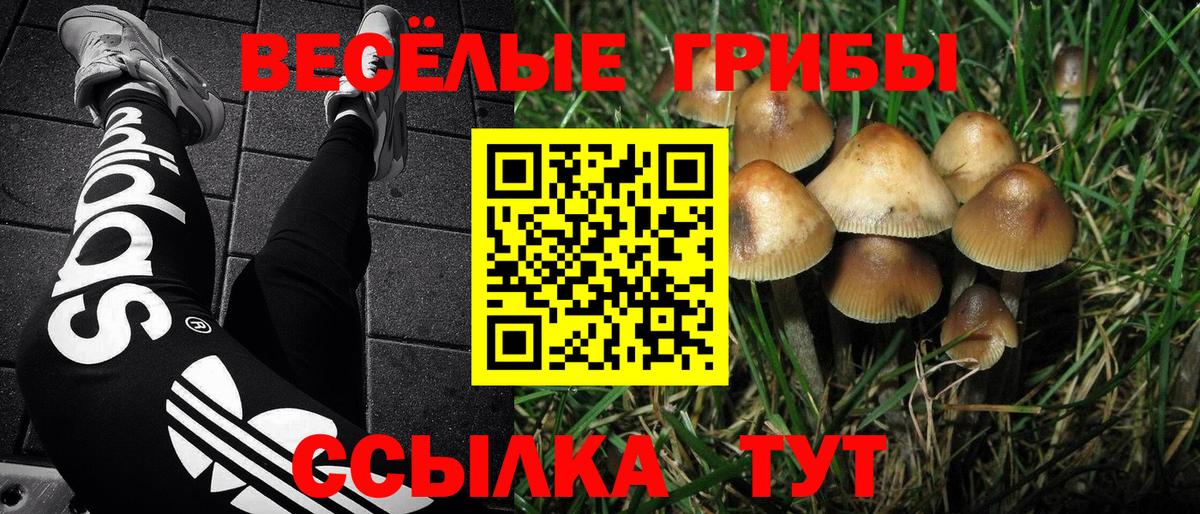 Галлюциногенные грибы MAGIC MUSHROOMS Кольчугино