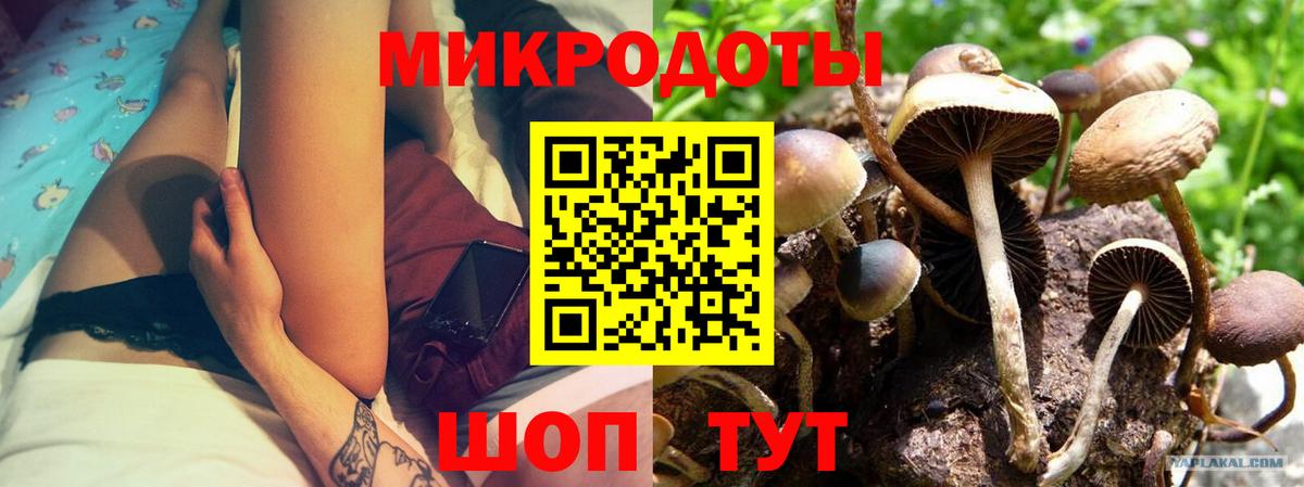 Кольчугино  как найти закладки  Вход с VPN  Псилоцибиновые грибы прущие грибы 