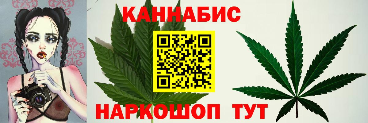 Конопля OG Kush  Шишки марихуана сатива  Кольчугино  Вход с VPN  Бошки марихуана ГИДРОПОН 